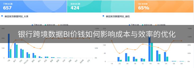 银行跨境数据BI价钱如何影响成本与效率的优化