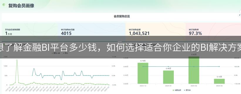 想了解金融BI平台多少钱，如何选择适合你企业的BI解决方案