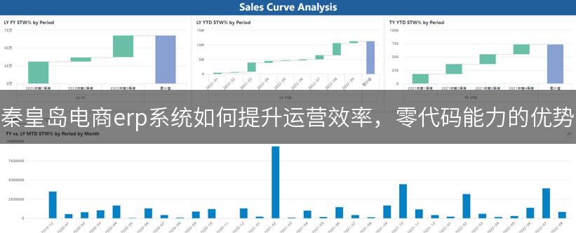 秦皇岛电商erp系统如何提升运营效率，零代码能力的优势