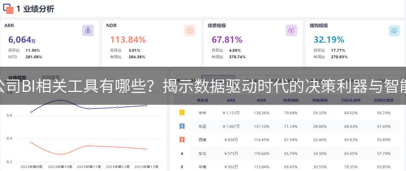 保险公司BI相关工具有哪些？揭示数据驱动时代的决策利器与智能应用
