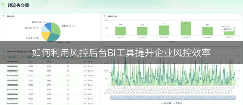 如何利用风控后台BI工具提升企业风控效率