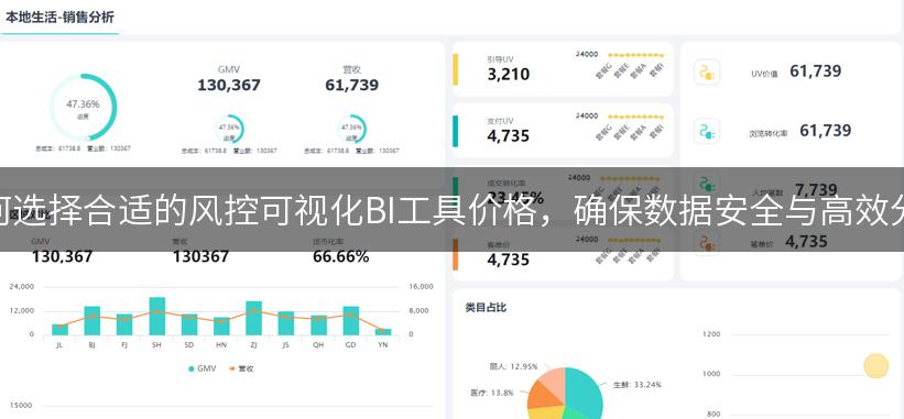 如何选择合适的风控可视化BI工具价格，确保数据安全与高效分析