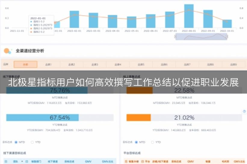 北极星指标用户如何高效撰写工作总结以促进职业发展