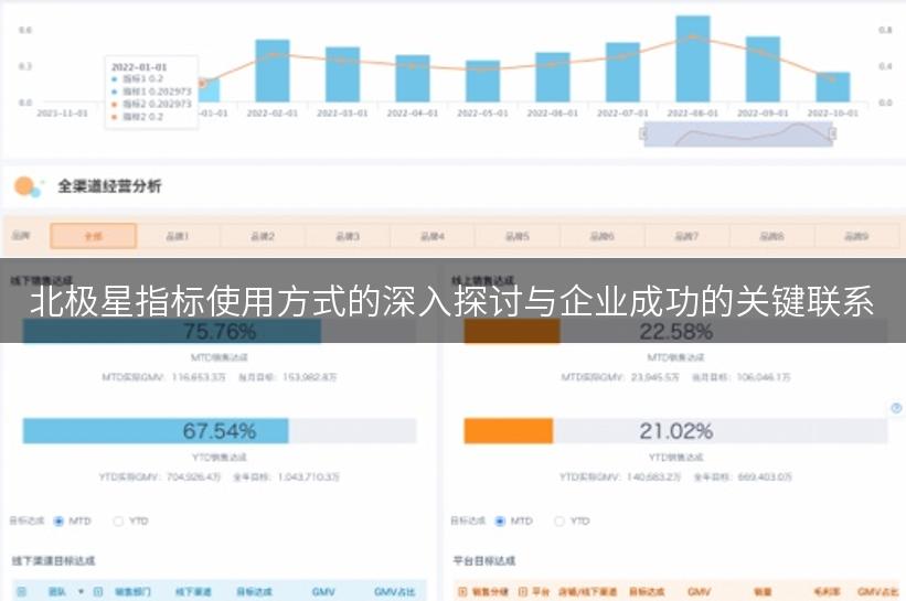 北极星指标使用方式的深入探讨与企业成功的关键联系